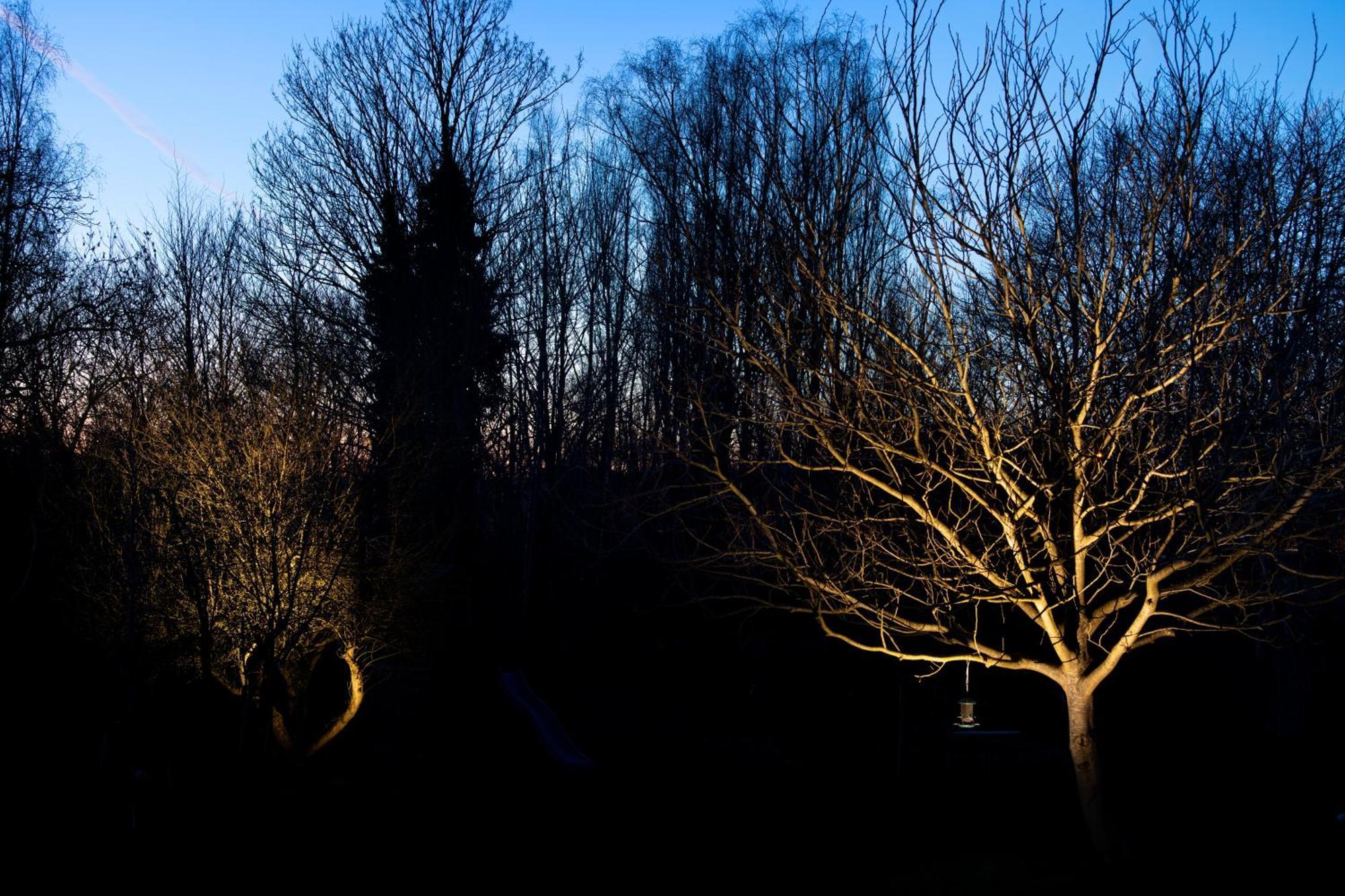 Bed and Breakfast Nuit Blanche Oud-Heverlee Esterno foto